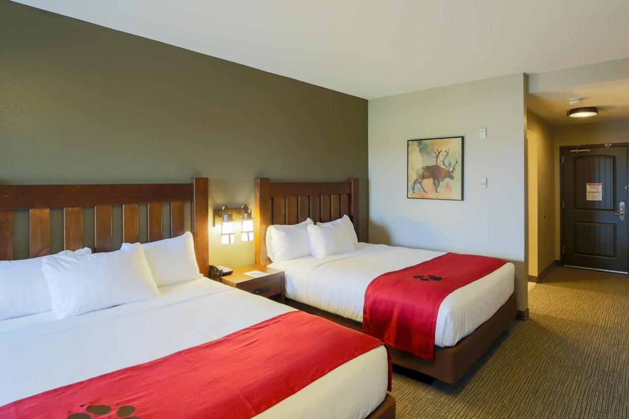 Great Wolf Lodge Chicago/Gurnee Chambre photo